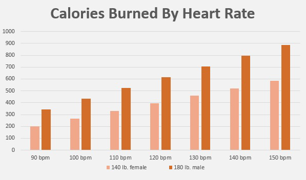 CALORIE BURN CALCULATOR