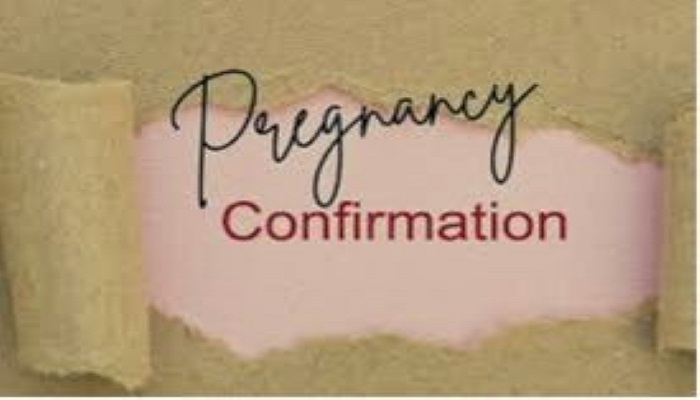 PREGNANCY CONFIRMATION CALCULATOR